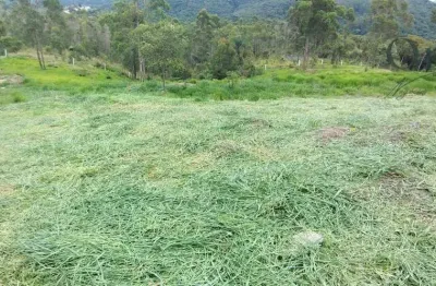 Terreno à venda, 8640 m² por r$ 1.300.000,00 - mato dentro - mairiporã/sp