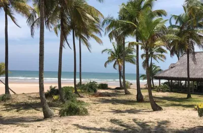 Chácara com 6 dormitórios à venda, 14813 m² por r$ 14.000.000,00 - praia dos algodões - maraú/ba
