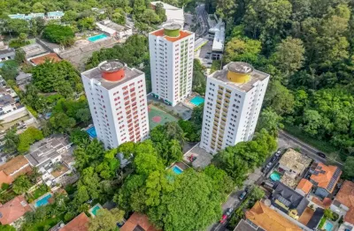 Apartamento para venda em tucuruvi jardim floresta com 3 quartos , 96m²