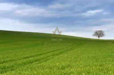 Terreno à venda no Santa Martha, Ribeirão Preto 