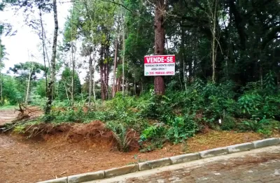 Terreno à venda na Centro, 369, Monte Verde, Camanducaia