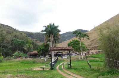 Fazenda de 356 hectares a venda em são domingos do prata - minas gerais