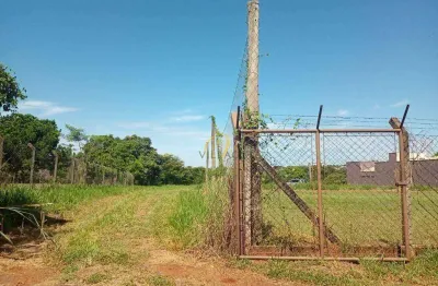 Terreno comercial para alugar na Rua Sebastião Bernardino de Souza, Brejo Alegre, São José do Rio Preto