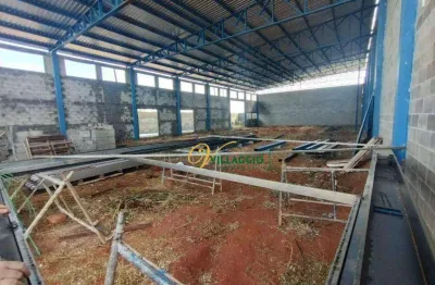 Galpão para alugar, 660 m² por r$ 16.555,00/mês - são benedito da capelinha (zona rural) - são josé do rio preto/sp