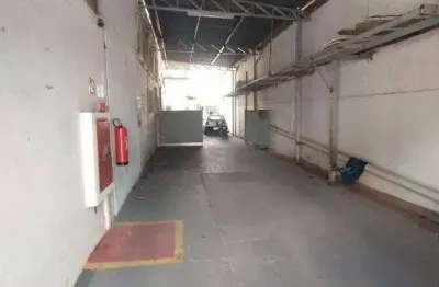 Salão para alugar, 700 m² por r$ 10.080,00/mês - jardim vieira - são josé do rio preto/sp