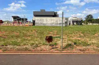 Terreno para alugar, 330 m² por r$ 3.000/mês - centro - são josé do rio preto/sp