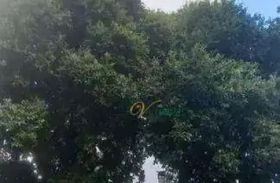 Apartamento com 4 dormitórios à venda, 280 m² por r$ 550.000,00 - vila bom jesus - são josé do rio preto/sp