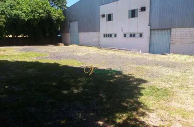 Barracão / Galpão / Depósito para alugar na Rua Jorge Saad, 3123, Distrito Industrial Doutor Carlos Arnaldo e Silva, São José do Rio Preto