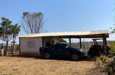 Fazenda com 3 dormitórios à venda, 377520 m² por r$ 3.600.000,00 - rural - palmeira d`oeste/sp