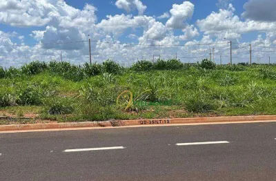 Terreno à venda, 220 m² por r$ 95.000,00 - jardim leste - são josé do rio preto/sp