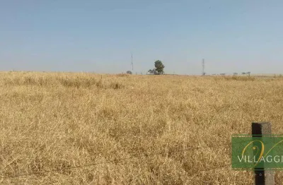 Área à venda, 54000 m² por r$ 5.900.000,00 - estância - cedral/sp