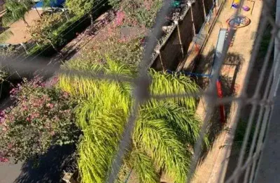 Apartamento à venda, 44 m² por r$ 180.000,00 - eldorado - são josé do rio preto/sp