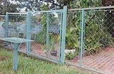 Chácara / sítio com 4 quartos à venda na Rodovia Delcio Custodio Da Silva, 2, Loteamento Galiléia (Zona Rural), São José do Rio Preto