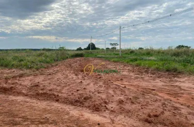 Chácara à venda, 20.000 m² por r$ 390.000 - zona rural - dentro cidade  balsamo