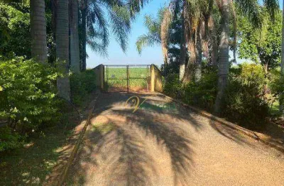 Chácara / sítio com 3 quartos à venda na avenida do tempo, zona rural, bady bassitt, 23500 m2 por r$ 1.500.000