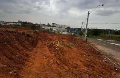 Terreno à venda, 299 m² por r$ 160.000,00 - jardim caparroz - são josé do rio preto/sp