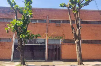 Barracão à venda, 1200 m² por r$ 4.000.000,00 - vila boa esperança - são josé do rio preto/sp