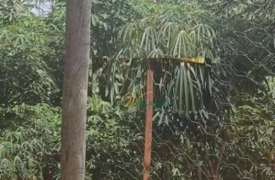 Terreno à venda, 250 m² por r$ 130.000,00 - residencial machado i - são josé do rio preto/sp