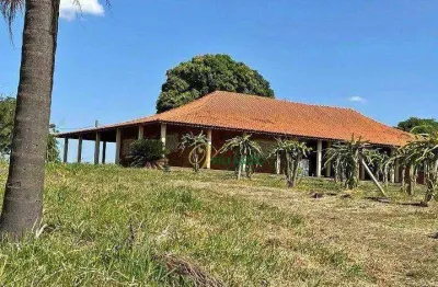 Sítio com 4 dormitórios à venda, 240000 m² por r$ 3.100.000,00 - centro - auriflama/sp