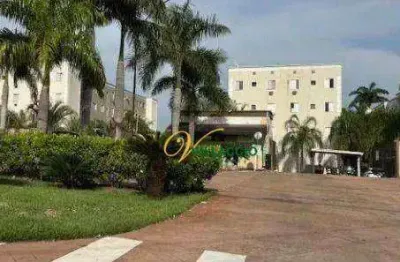 Apartamento com 3 dormitórios à venda, 70 m² por r$ 195.000 - residencial rio das flores - são josé do rio preto/sp