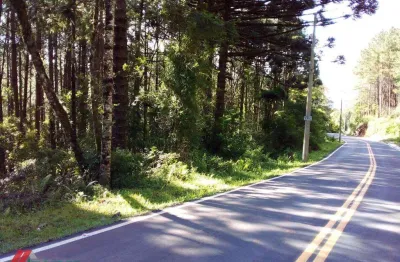 Sala comercial à venda na Mato Queimado, Centro, Gramado