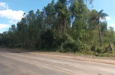 Sala comercial à venda na Rs 239, Portão Velho, Portão