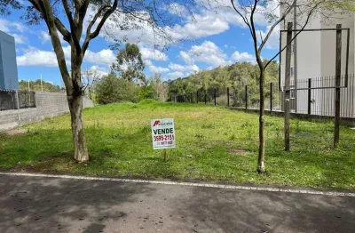 Terreno no centro de campo bom - ótima oportunidade de investimento