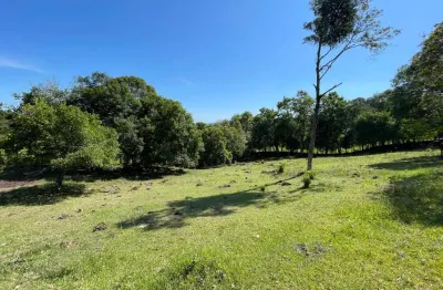 Sala comercial à venda na Estrada Da Itagiba, Centro, São Francisco de Paula