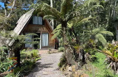 Casa com 1 quarto à venda na Rua Quatís, Colinas, São Francisco de Paula