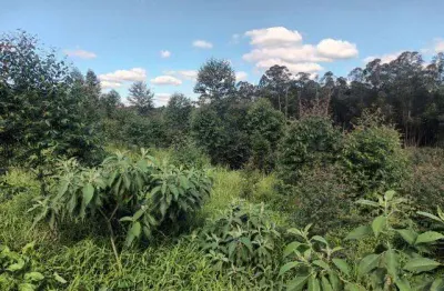 Sala comercial à venda na Av Usina, Portão Velho, Portão