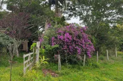 Chácara / sítio com 3 quartos à venda na Estrada Do Paquete, Centro, Capela de Santana