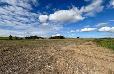 Chácara / sítio à venda na Linha Zilli, Içara 