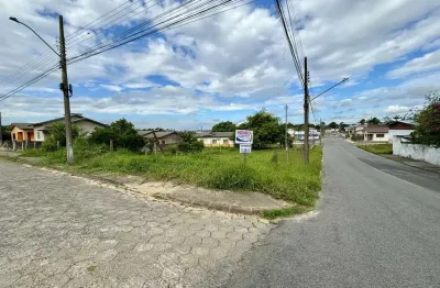 Terreno comercial à venda na Jaqueline, Içara 