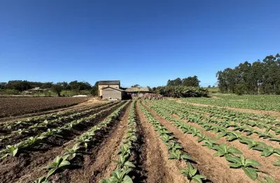 Chácara / sítio com 3 quartos à venda na Zona Rural, Içara 