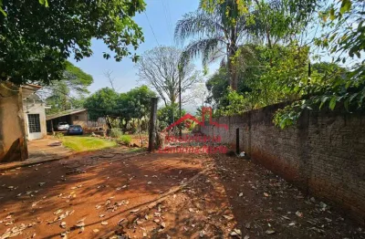 Chácara com 1 dormitório à venda, 6000 m² por r$ 2.500.000 - conjunto vivi xavier - londrina/pr