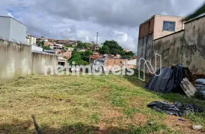Venda rua parque são pedro - venda nova belo horizonte