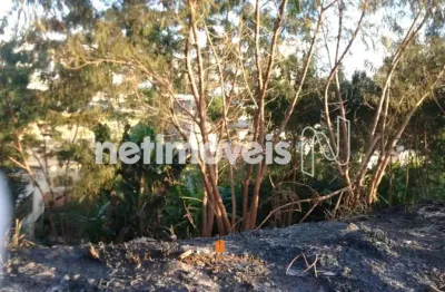 Terreno à venda na Rua Antônio Ferreira da Cruz, Ana Lúcia (Venda Nova), Belo Horizonte