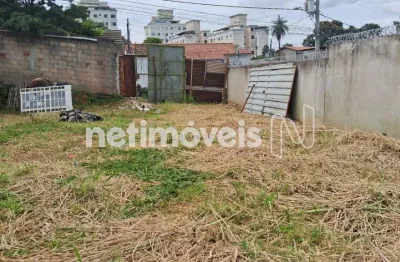 Terreno à venda na Rua Cheflera, Frei Leopoldo, Belo Horizonte