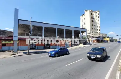 Barracão / Galpão / Depósito para alugar na Avenida Doutor Cristiano Guimarães, Vila Cloris, Belo Horizonte