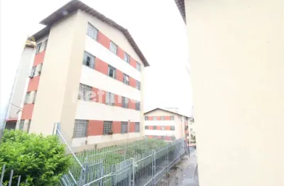 Apartamento com 2 quartos para alugar na Rua Soldado Ronaldo de Seixas, Europa, Belo Horizonte