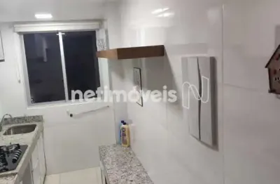Apartamento com 2 quartos para alugar na Rua Santa Maria Bertilla, São João Batista, Belo Horizonte