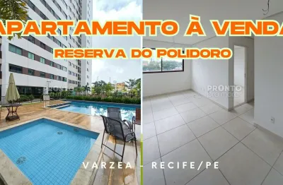 Apartamento à venda na reserva do polidoro, varzea-recife/pe | 2 quartos | 1 suite | 1 wc | 1 vaga | 55m²