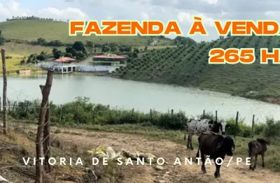Fazenda à venda com 265 hectares em vitoria de santo antão/pe