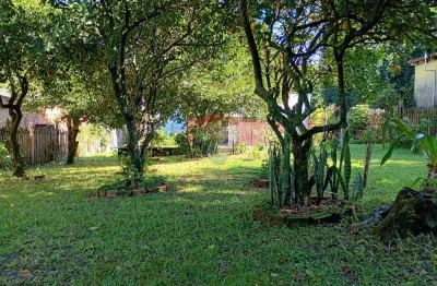 Grande terreno 16x40 no piratini – oportunidade para construtores