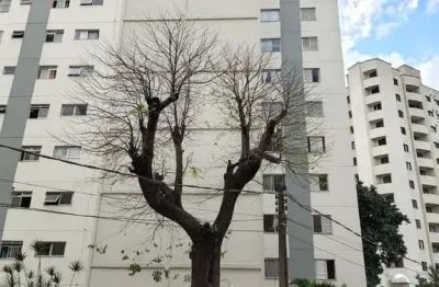 Apartamento com 3 quartos à venda na Rua Dom Mateus, 80, Vila Monumento, São Paulo