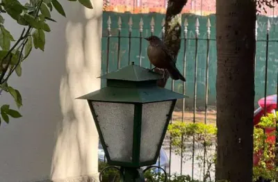 Apartamento com 3 quartos para alugar na Avenida Jurubatuba, 374, 374, Vila Cordeiro, São Paulo