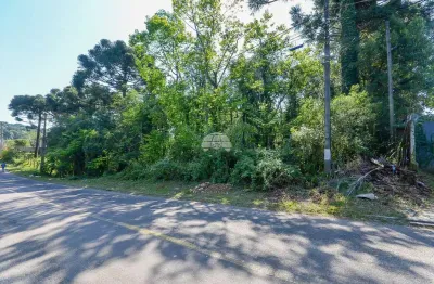 Terreno comercial à venda na rua das amoreiras, 1004, jardim marize, almirante tamandaré, 5525 m2 por r$ 850.000
