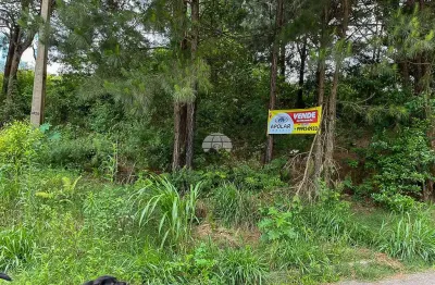 Terreno à venda na rua francisco de oliveira, 143, jardim cíntia mara, almirante tamandaré por r$ 75.000