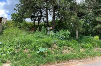 Terreno à venda na rua lydia rose zanlutti, 313, jardim cíntia mara, almirante tamandaré por r$ 85.000