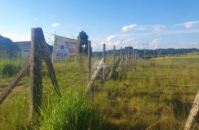 Terreno à venda na estrada principal, 7, campo largo da roseira, são josé dos pinhais por r$ 280.000